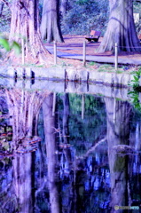 写し絵