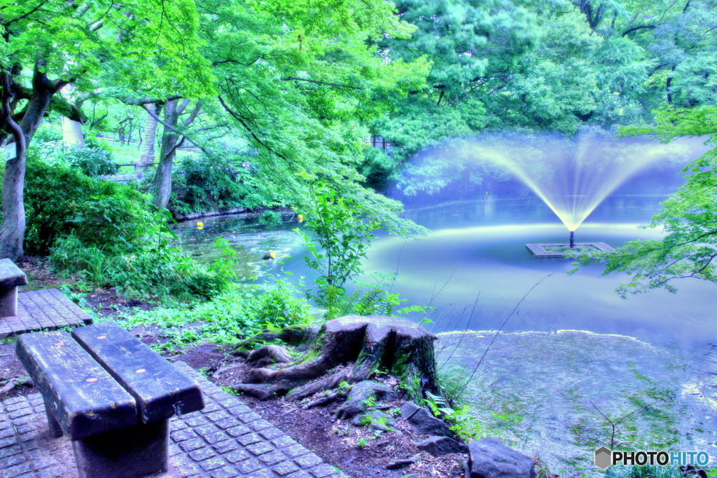 ビューポイント