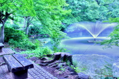 ビューポイント