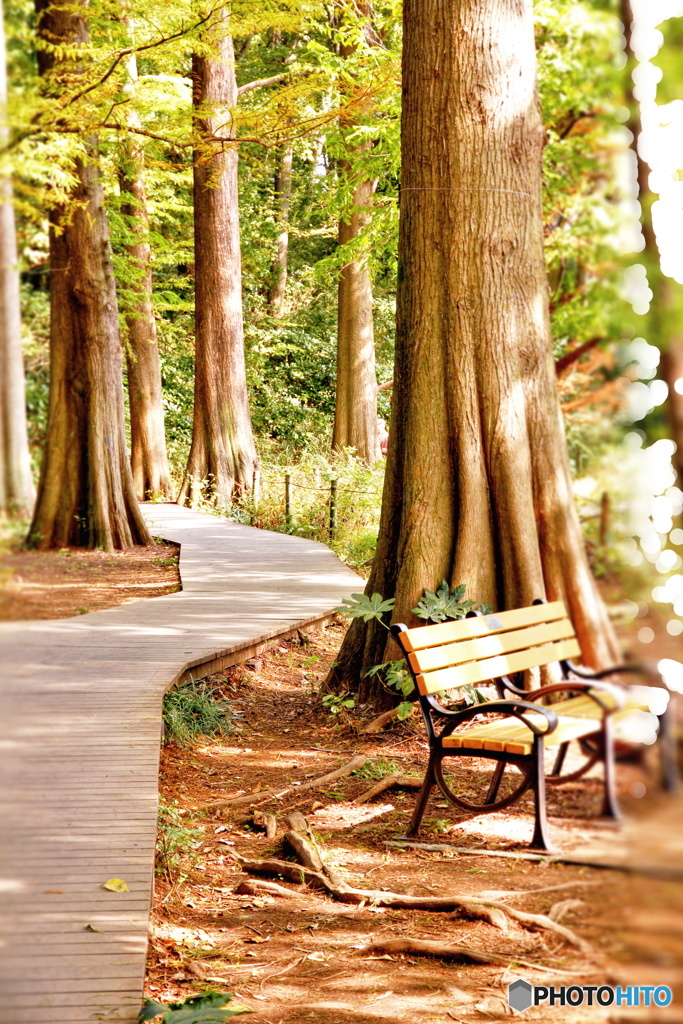 三宝寺池ミニュチュア