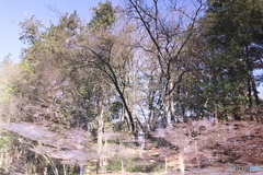 水の中の世界（歪む空間）
