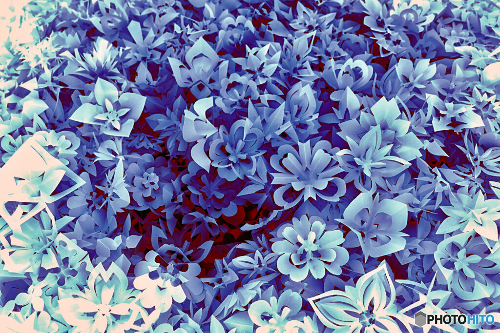 紙の花