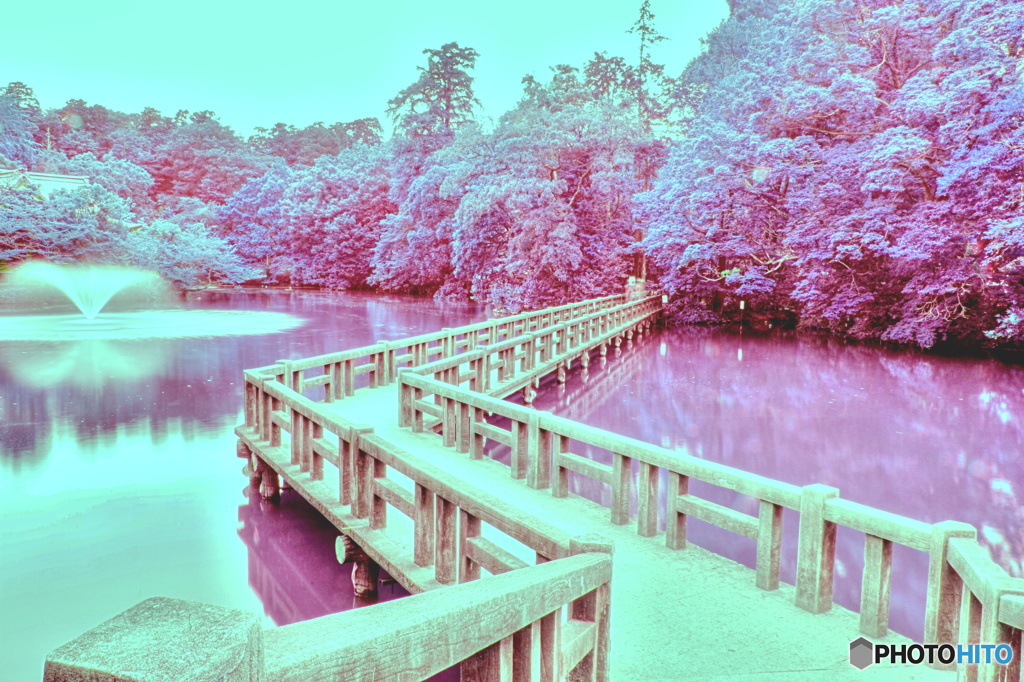 ワンダーランド