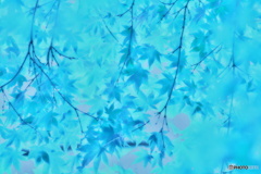 夢の中の出会い