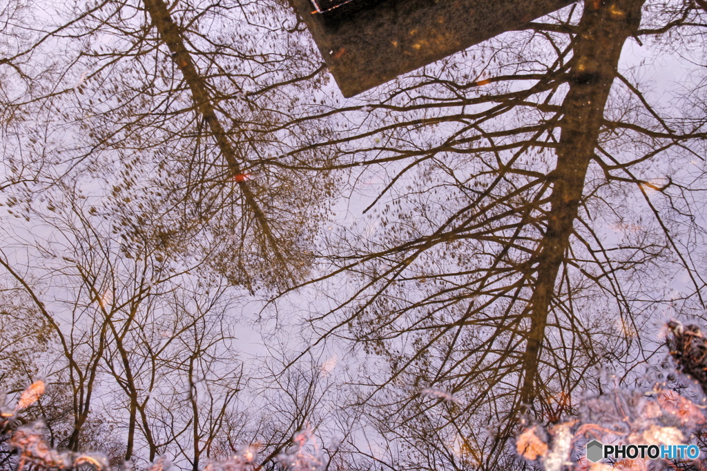 水中景色（２）