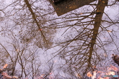 水中景色（２）