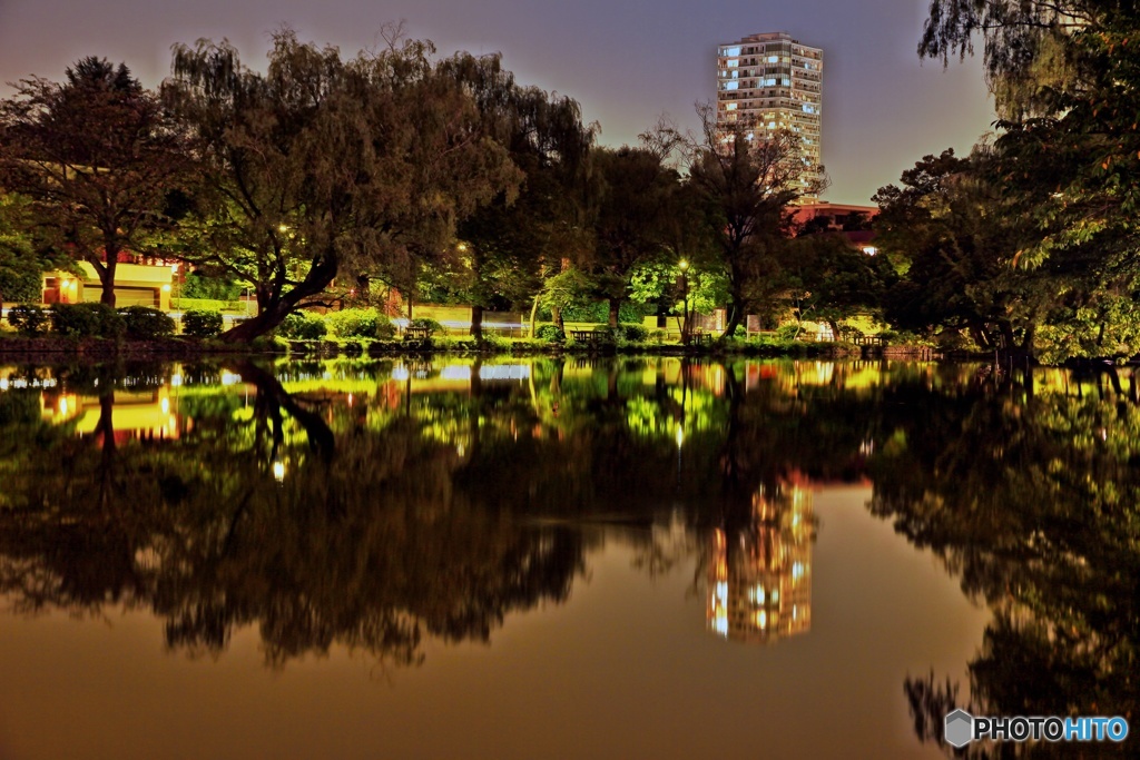 夜景（石神井公園ボート池）