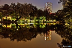 夜景（石神井公園ボート池）