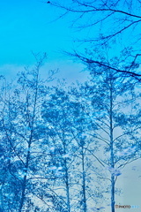 水の中の世界