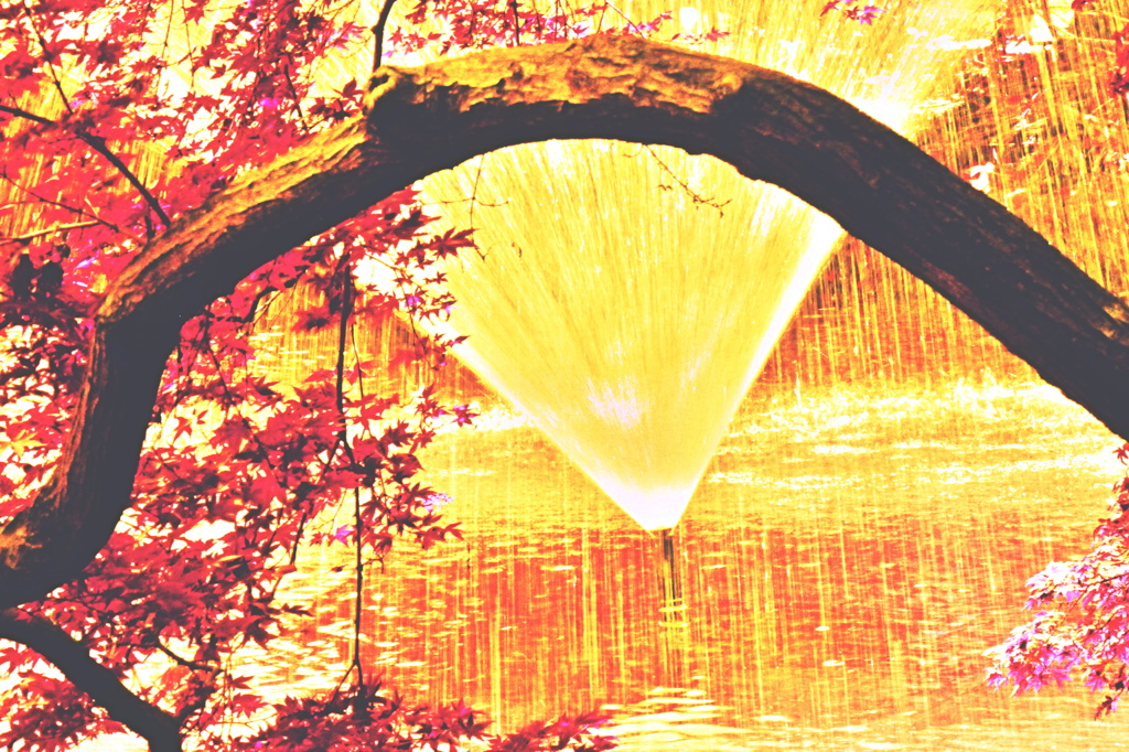 紅葉と噴水