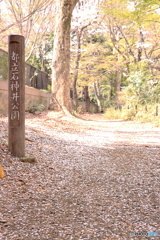 都立石神井公園