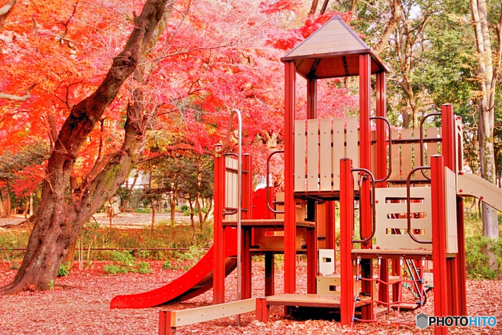 遊具と紅葉