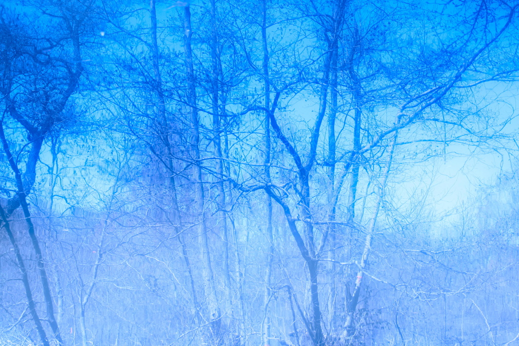 ウォーターワールド