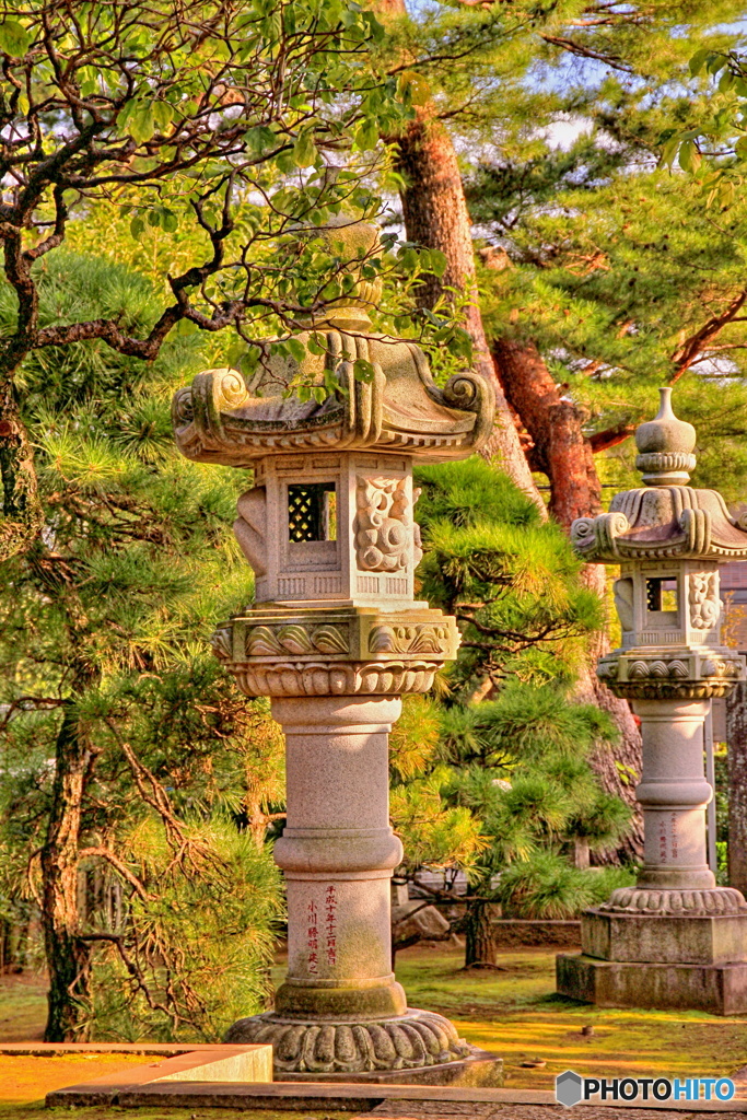 西日に照らされて