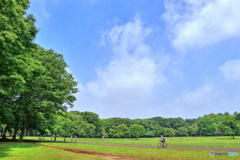 広場と青空