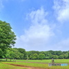 広場と青空