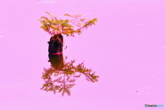 和風絵巻（２）