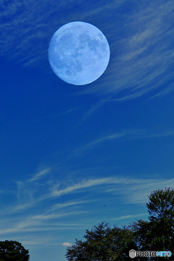 秋の雲と月