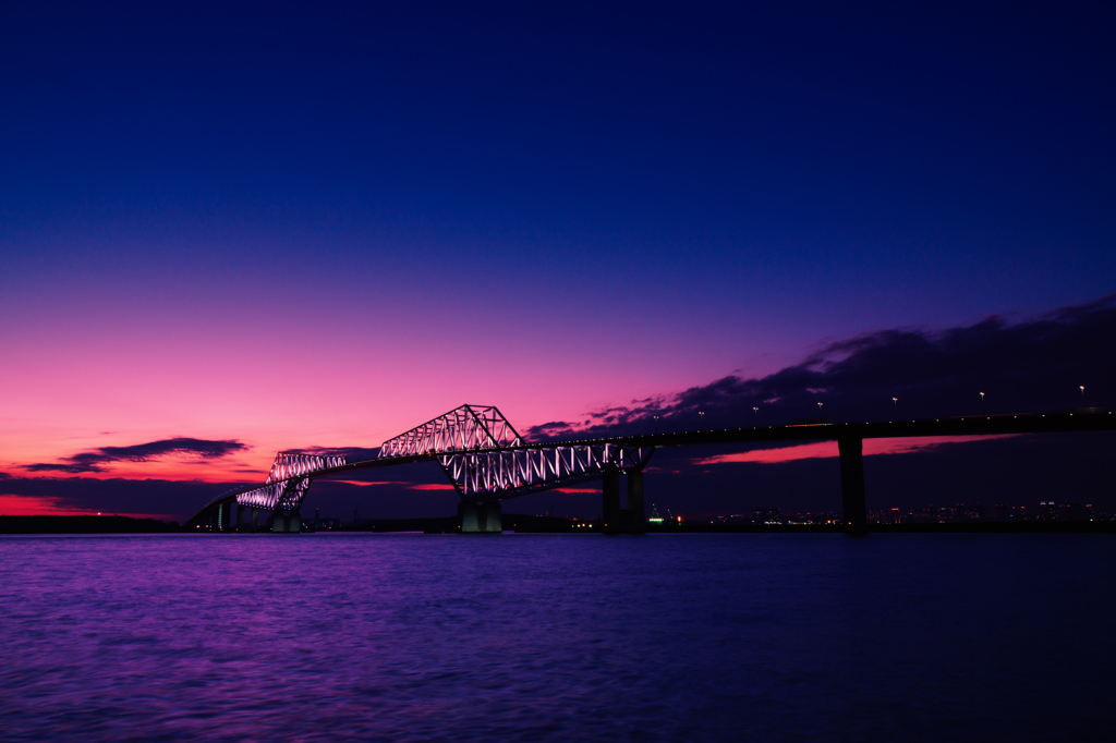 Tokyo Gate Bridge-2016-01-16