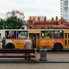 Trolley Bus