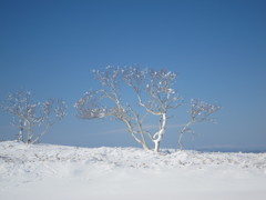 美幌峠