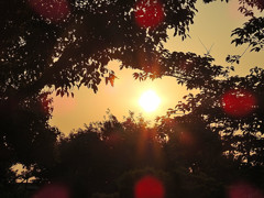 SUNRISE