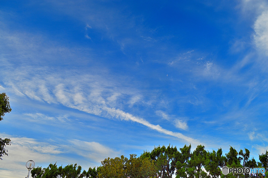 舞う雲