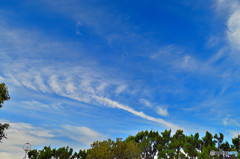 舞う雲