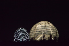 A Ferris wheel and the glass dome which 