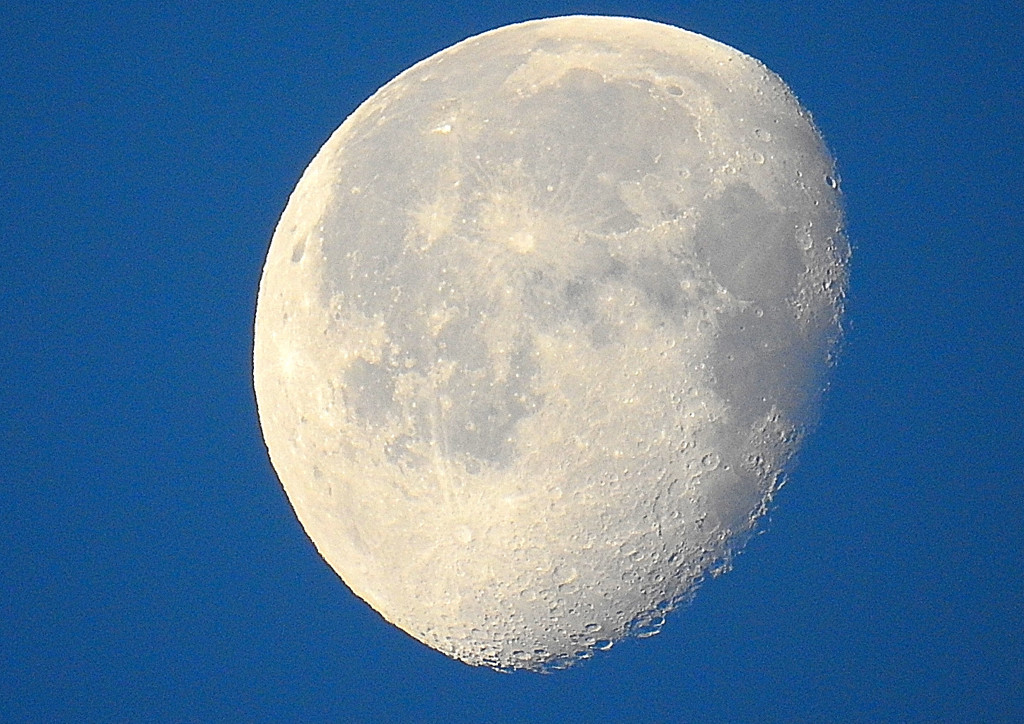 Morning Moon
