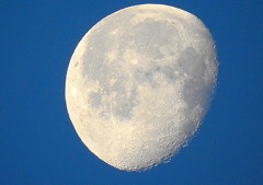 Morning Moon