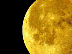 Mooooooon