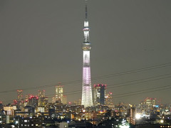 電線邪魔なんですけど・・・