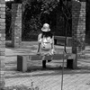 待ち人来たらず