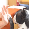 タッチ！