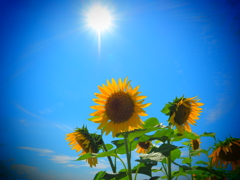 夏真っ盛り♬