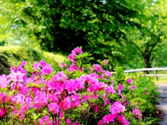 公園遊びの合間に一枚(^^)