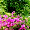 公園遊びの合間に一枚(^^)