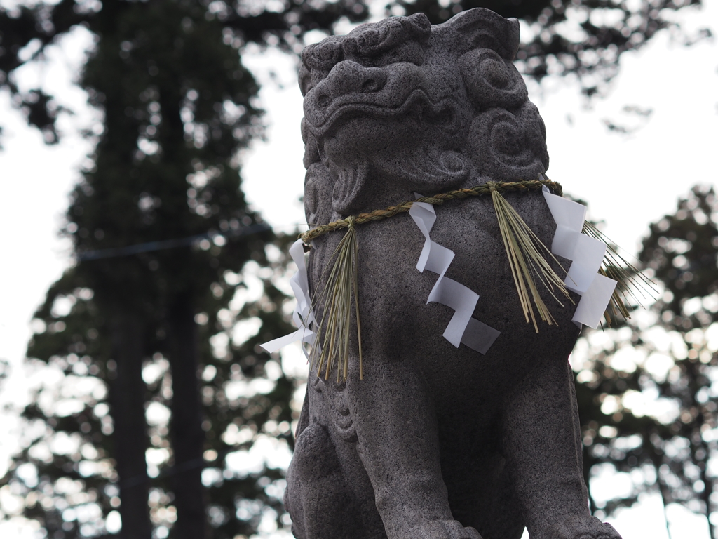 神社の狛犬