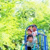 新緑の公園と子供たち