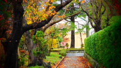 高田公園の紅葉