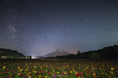 山中湖 花の都公園にて