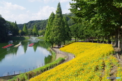 花フェスタ記念公園