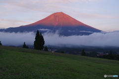 夕日に染まる富士山