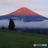 夕日に染まる富士山