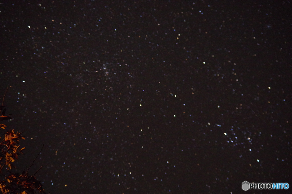 うるぎ星の森