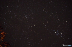 うるぎ星の森