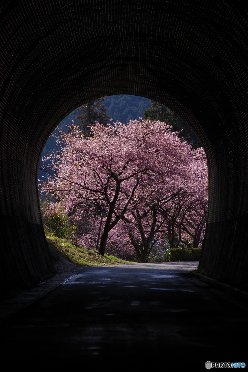 トンネルを抜けるとそこは