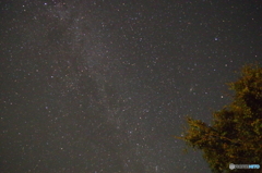 うるぎ星の森