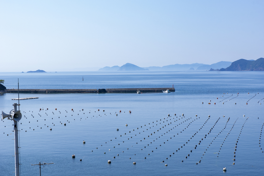 田舎の景色